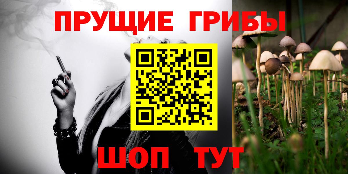 Галлюциногенные грибы Cubensis Белорецк